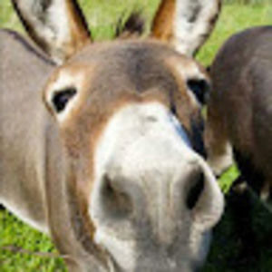 Meet your Posher, Leanne